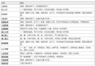 形容胖的成语
