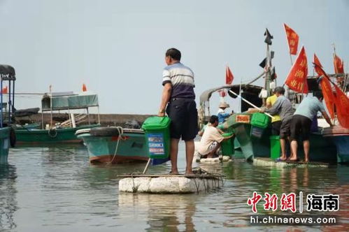 是打渔还是打鱼