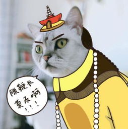 鞭长莫及的意思是什么