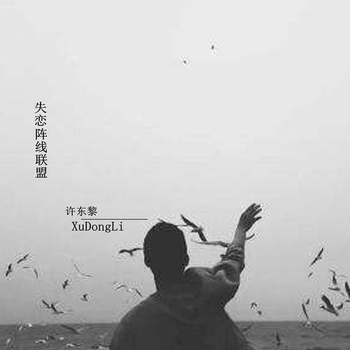 多喜欢你的歌词