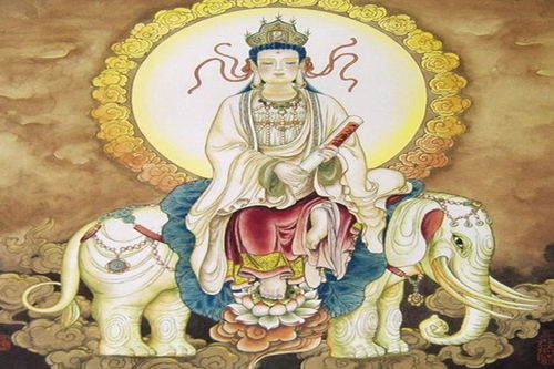 属兔的守护神是什么菩萨
