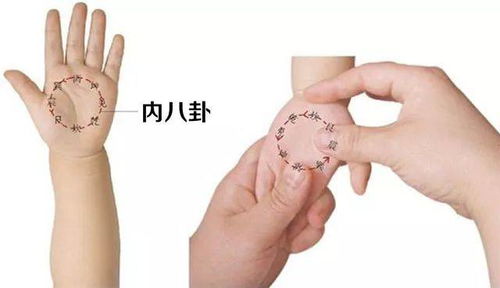 四横纹
