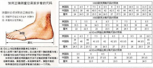 34码鞋子是多少厘米
