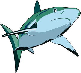 海洋生物有哪些