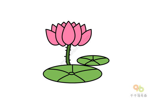 怎样画荷花荷叶简笔画