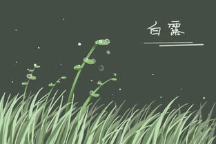 白露节气的含义是什么
