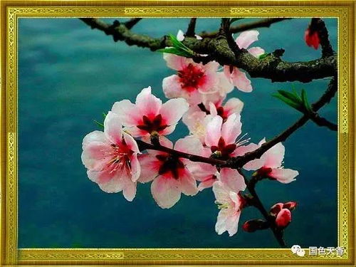 三月桃花水的意思是三月的水像桃花一样美的说法对吗?