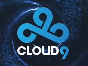 c9是什么意思
