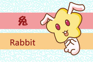 属兔的出生日期,兔是哪一年出生的?
