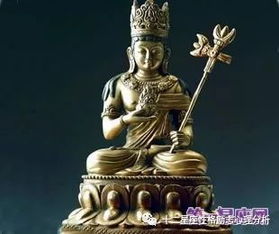 属兔人的守护神是哪位菩萨?