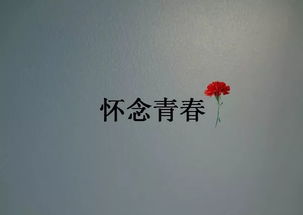 我们的青春啊在记忆里生根发芽
