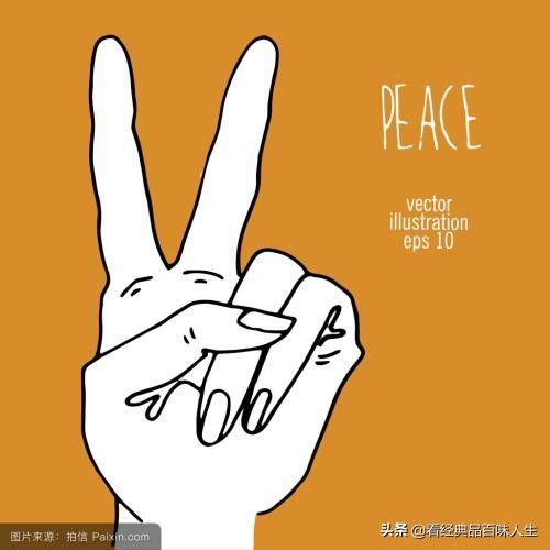 竖中指的来历与详解
