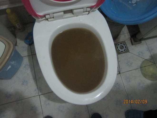 马桶堵了通一次多少钱
