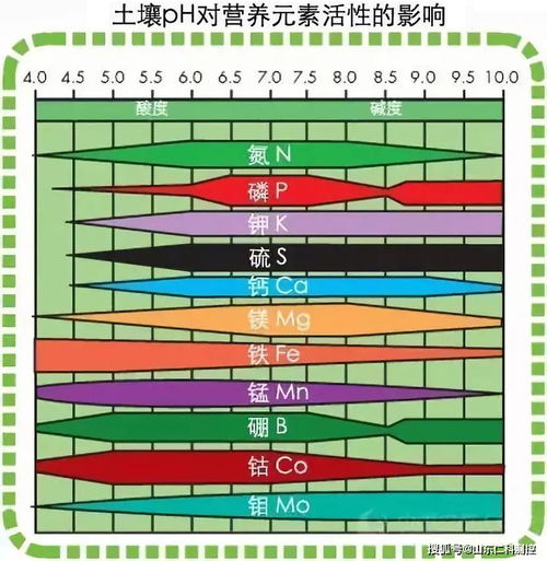 土壤酸碱度
