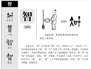 智慧的智组词有哪些