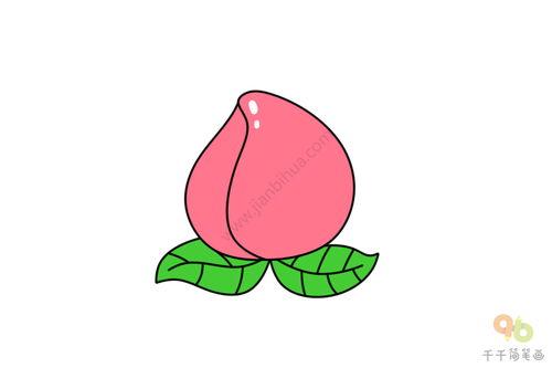 桃子的简笔画步骤
