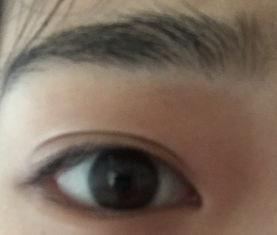 眼睛有多少种类型?