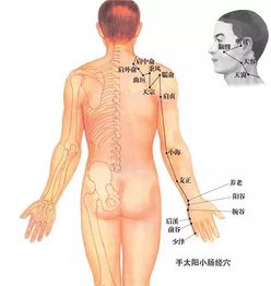 我想知道腿部到底有几条经络分别在哪里?