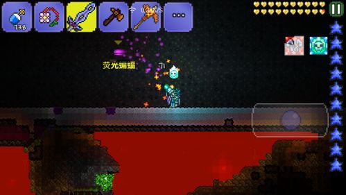 泰拉瑞亚地牢有黑暗之魂吗