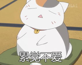 累觉不爱什么意思