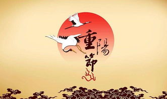 重阳节代表什么意思