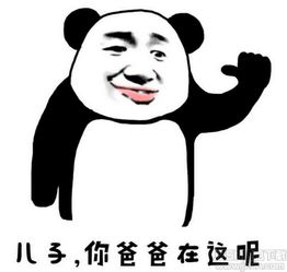 儿子儿子我是你爸爸是什么歌 儿子儿子我是你爸爸是什么歌里面的歌词