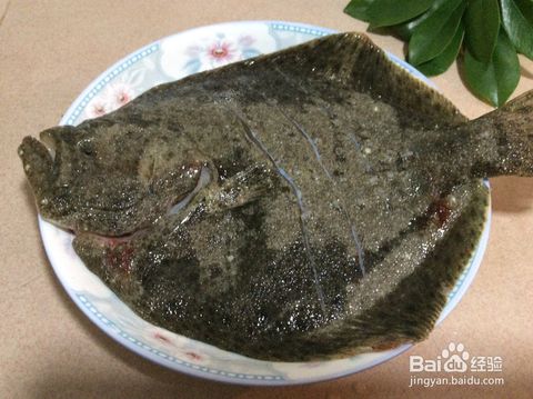 多宝鱼是口感不错的鱼类,多宝鱼怎么做比较好吃?