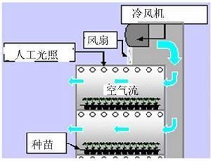 生态因子
