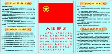 团员的权利和义务
