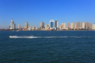 滨海市是哪个省的城市
