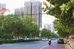 龙子湖大学城占地面积