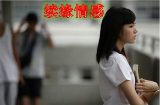 挖墙脚什么意思
