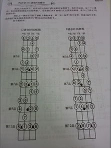 尤克里里四根弦是什么音
