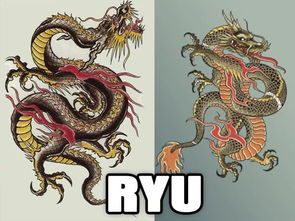 三爪龙
