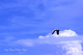 青海话
