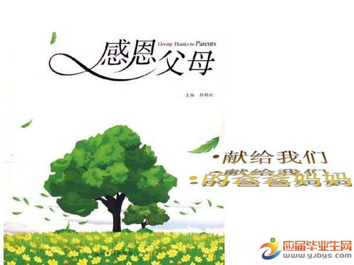 感恩母亲优美句子