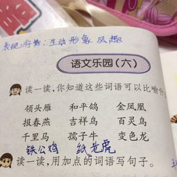 三字词语有哪些?
