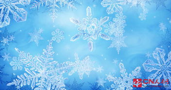 “洁白的雪花像什么”的比喻句有哪些?