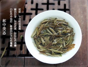 白牡丹茶的功效与作用
