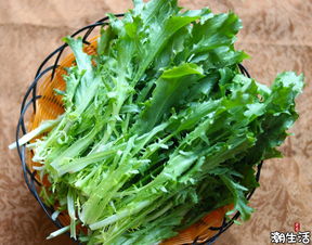 水晶菜
