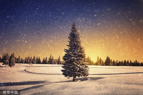 雪花像什么的比喻句

