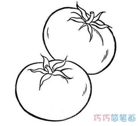 西红柿简笔画
