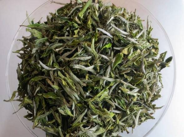 白牡丹茶的功效与作用