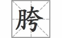 胯的拼音
