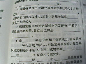 什么的肥料怎么填空?