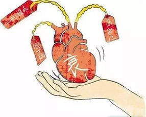 心衰怎么检查
