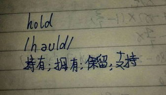 hold是什么意思中文
