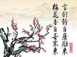 古诗梅花香自苦寒来的上一句是什么