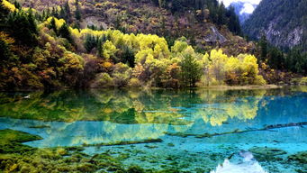 武汉至九寨沟旅游
