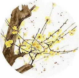 柳暗花明的意思是什么